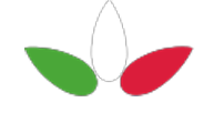 Made in Italy